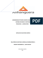 Relatório Final Estágio Obrigatório II