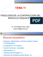 TEMA 11 Musc - 2016-17 JM