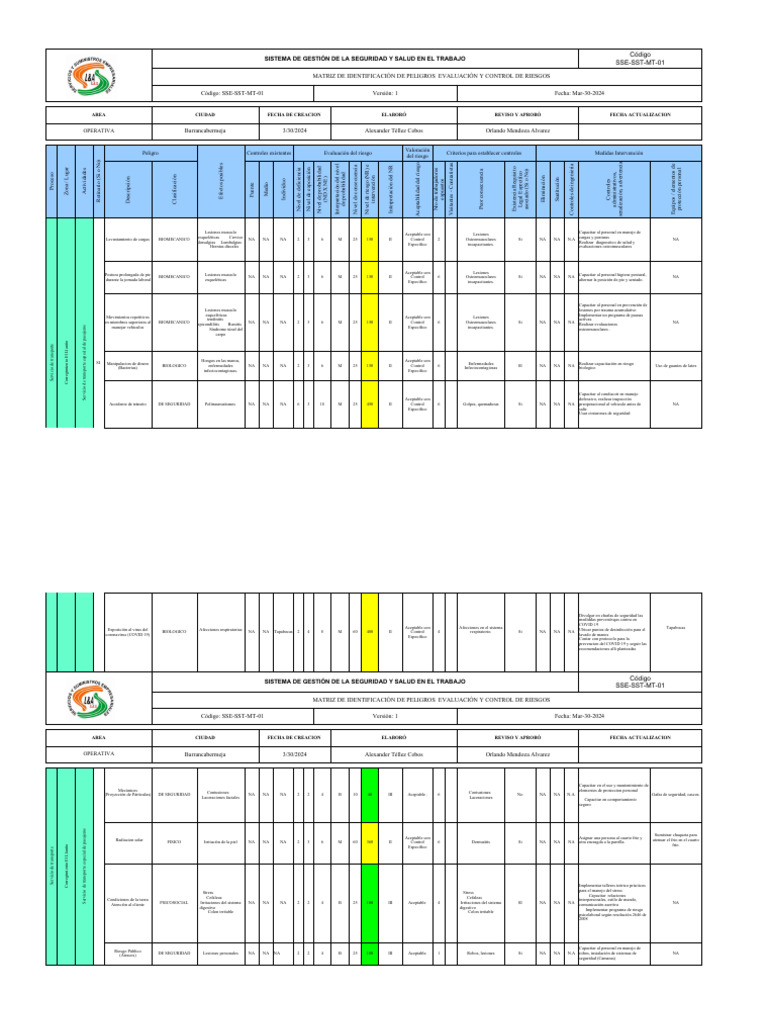 Matriz de Riesgos en Seguridad Laboral | PDF | Dolor lumbar | Medicina