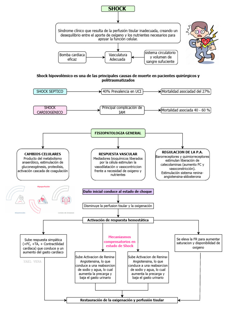 Tipos y Tratamientos del Shock Médico | PDF | Medicina CLINICA ...