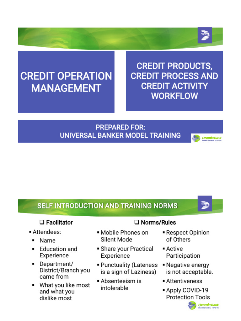Presentation Print Temp | PDF | Line Of Credit | Loans