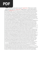 Download Which Neuron Would Connect to a Muscle by annabelle_asare SN73607303 doc pdf