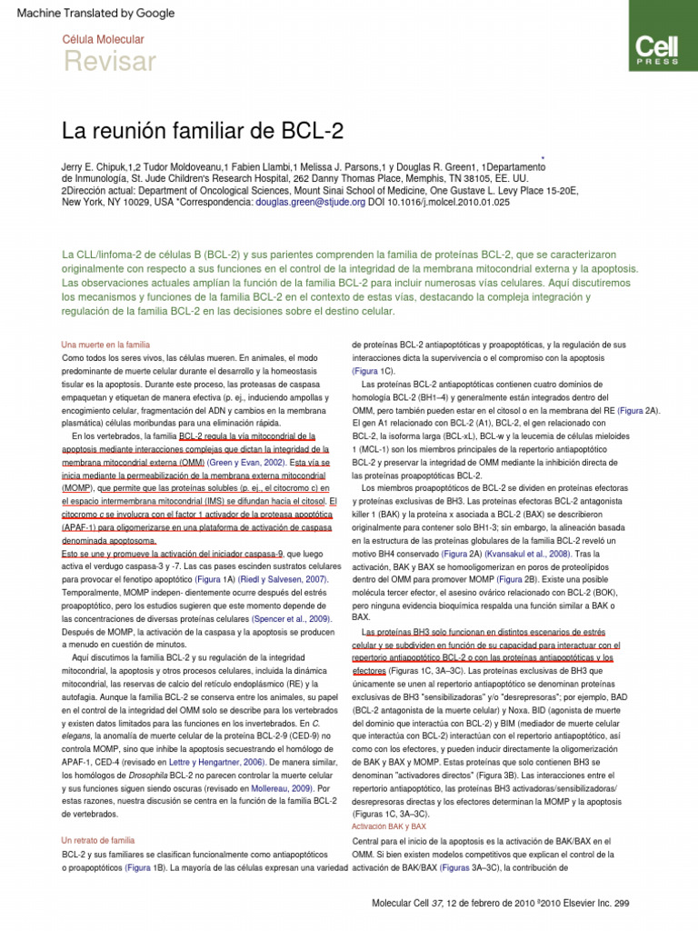 Mecanismos de la familia BCL-2 en apoptosis | PDF | Bcl 2 | Apoptosis
