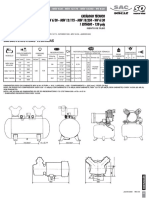 CT-21-MSV6-30-12-175-18-250-WV6-30-Port.-rev.05-jul-08