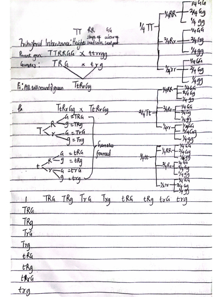 Bio 101 Notes | PDF