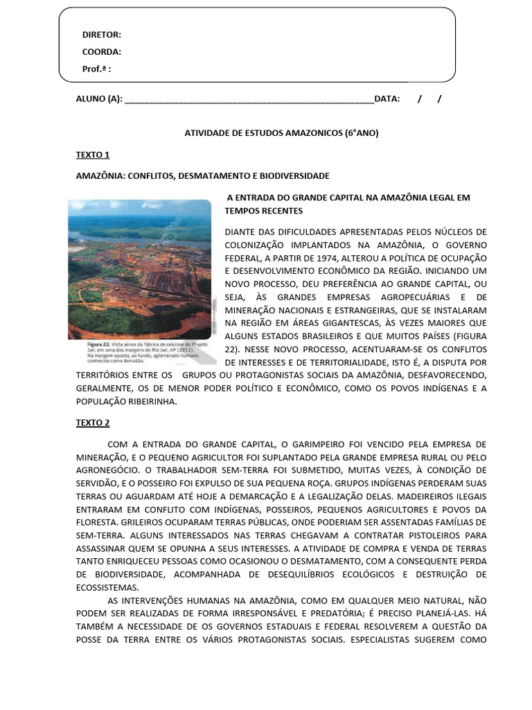 Atividade de Estudos Amazonicos (6°ano) | PDF | Floresta Amazônica ...