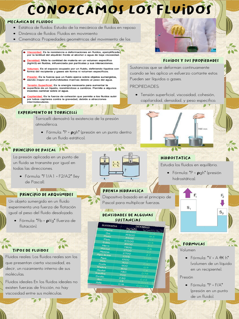 Los Fluidos Infografia | Descargar gratis PDF | Fluido | Viscosidad
