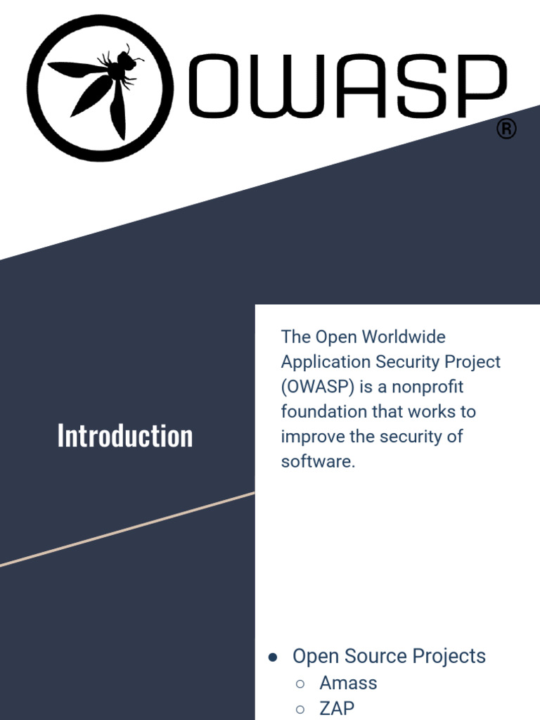 OWASP Top 10 Security Risks Explained | PDF