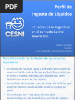 Patron de Consumo de Bebidas en Argentina 2013 Esteban Carmuega