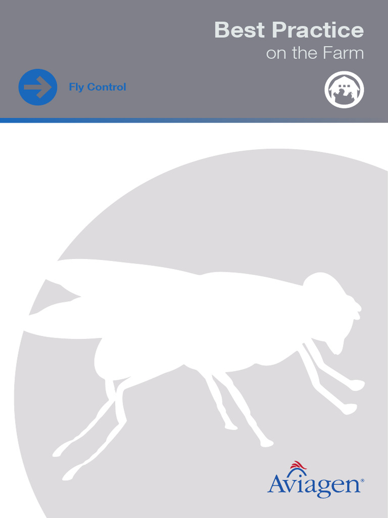 AVIA BestPractice Fly Control EN 18 | PDF | Insecticide | Fly