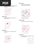 Red Blood Cell Morphology Guide | PDF | Anemia | Red Blood Cell