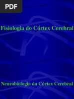 Aula 6 (Córtex Cerebral)