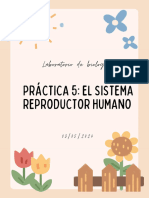 Biología Práctica 5 Sistema Reproductor Humano