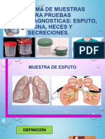 Toma de Muestras para Diagnostico Esputo Orina Heces y Secreciones.