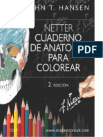 Netter Colorear