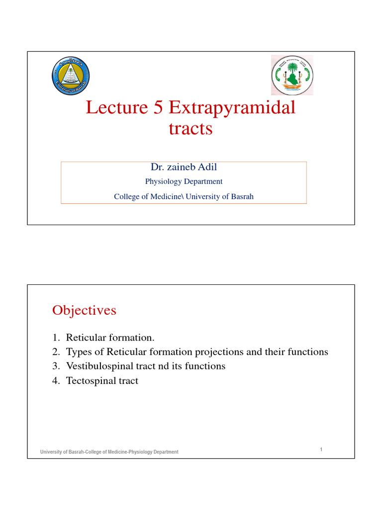 Extrapyramidal Tracts Pdf Basal Ganglia Cerebral Cortex
