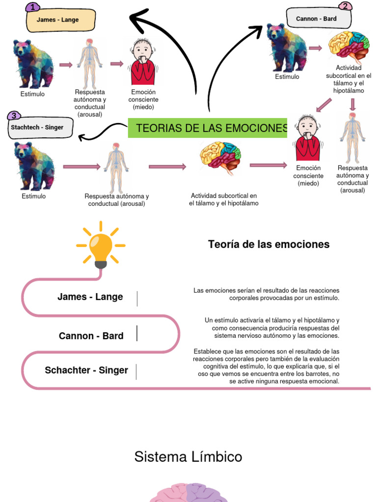Teorías y Procesos de las Emociones | PDF | Las emociones | Cerebro