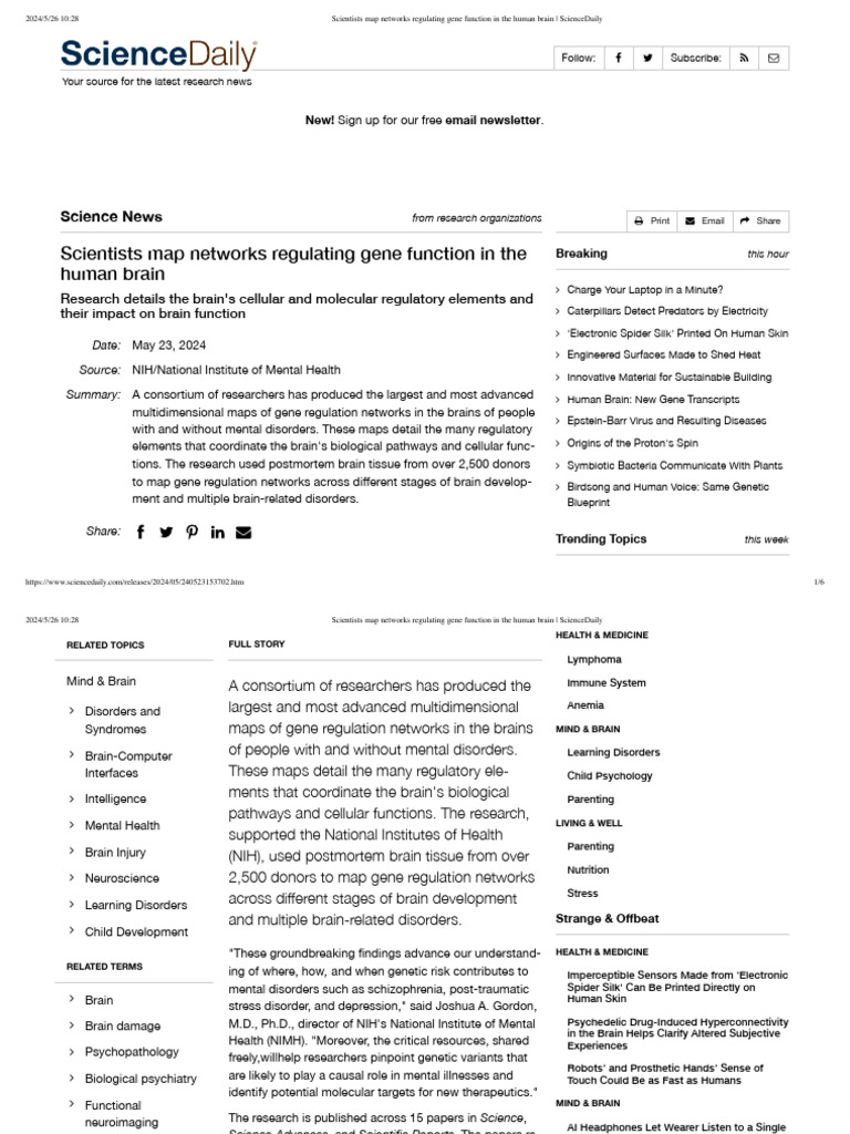 Scientists Map Networks Regulating Gene Function In The Human Brain
