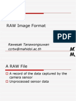 Digital RAW Format