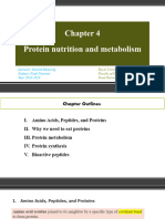 Food Nutrient:  Protein and health effects