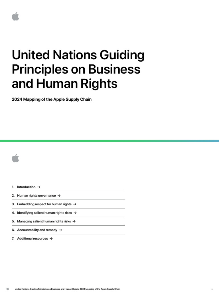 Apple UNGP Mapping | PDF | Supply Chain | Audit