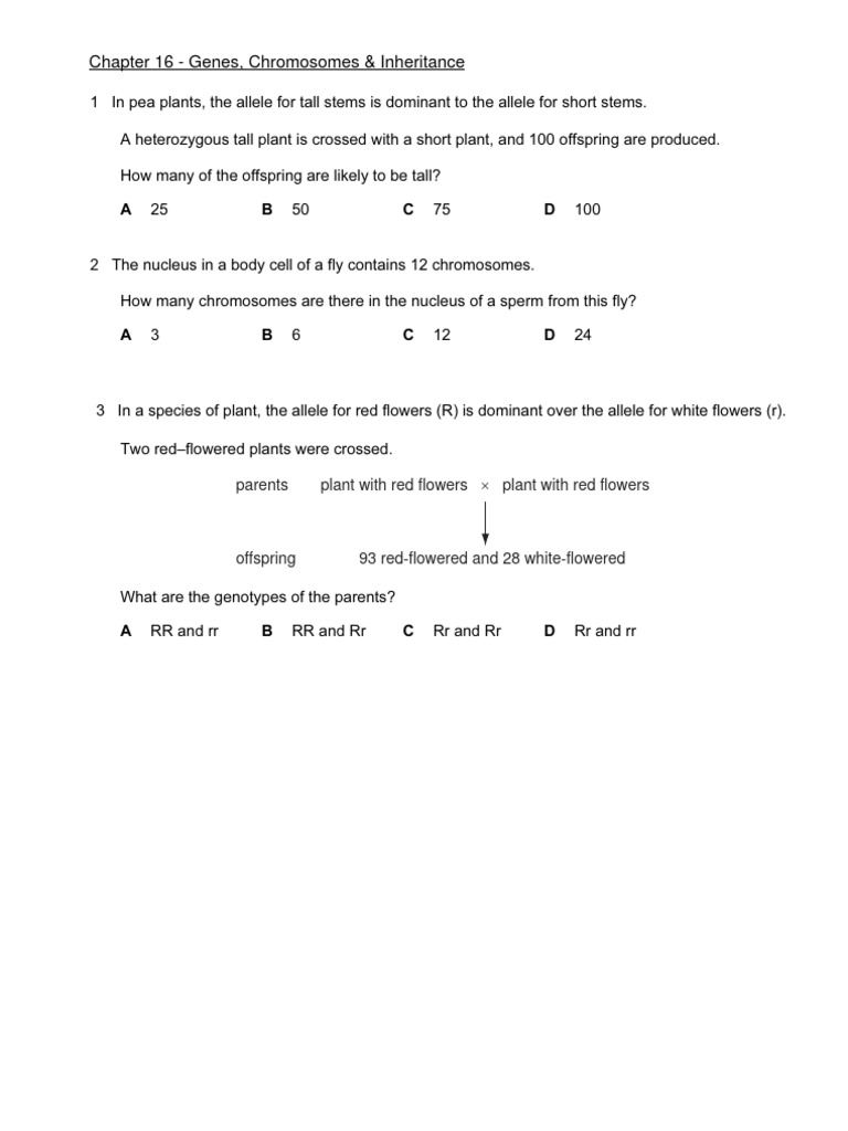 Inheritance Patterns in Genetics | PDF | Zygosity | Dominance (Genetics)