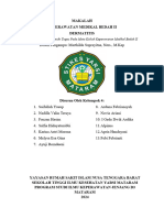 Makalah KLP 4 Dermatitis-Kmb 2