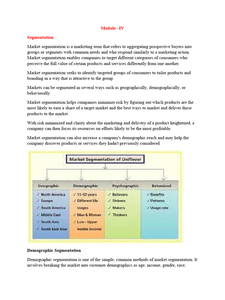 Digital Market Segmentation Strategies | PDF | Market Segmentation ...
