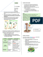 DISTRIBUIÇÃO DE MATÉRIA NAS PLANTAS (Recuperado Automaticamente)