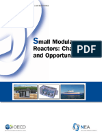 Small Modular Reactors_ Challenges and Opportunities
