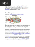 Download MEMBRANA CELULAR MORFOLOGA by Scarlet Martn Lugo SN73621860 doc pdf