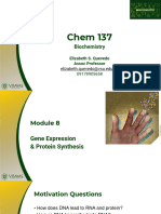 VSU-2020-PPT Information Transfer Protein Synthesis