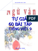 60 BAI TAP TIENG VIET  LOP 9  ON THI V VAO10)