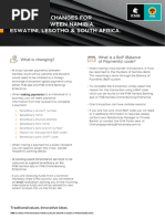 FNB Global Payments and BoP Codes Guide | PDF | Payments | Receipt