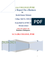 E Business Project Report