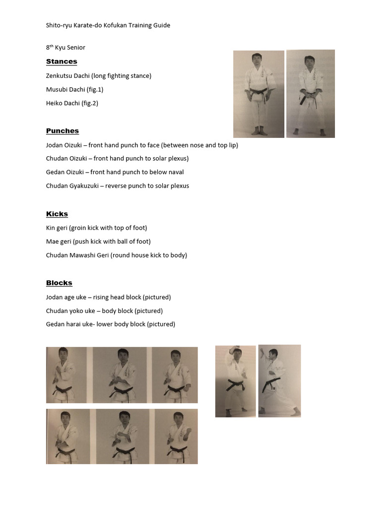 Shito-Ryu Karate 8th Kyu Training Guide | PDF