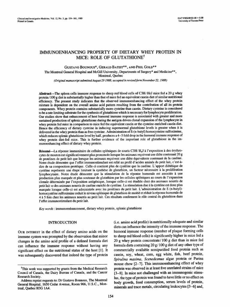 08 Immunoenhancing Property of Dietary Whey Protein in Mice Role of ...