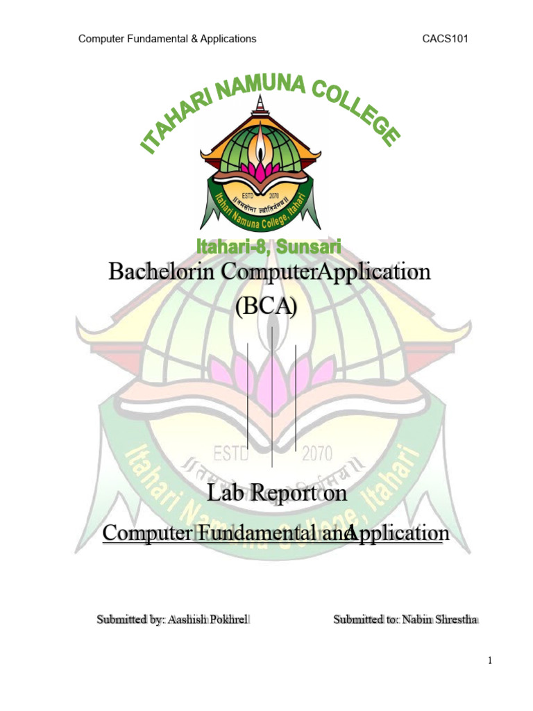 Computer Fundamental Lab Report | PDF | Computer File | Command Line ...