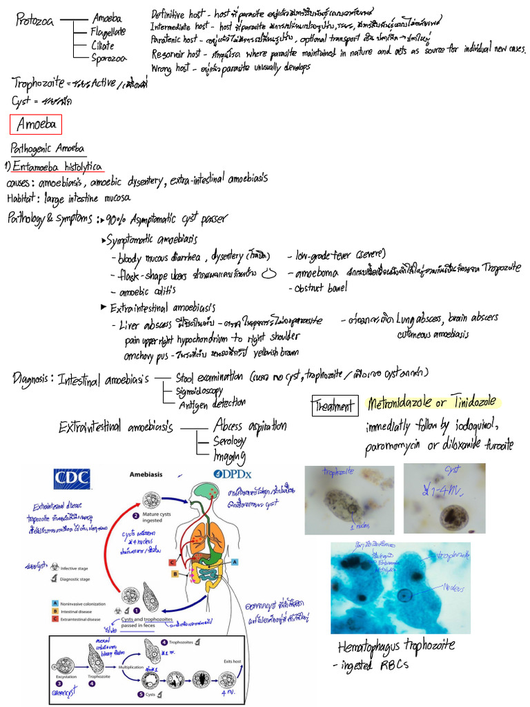 Note | PDF | Epidemiology | Clinical Medicine