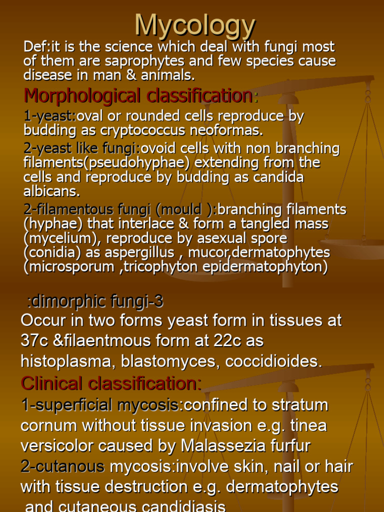 Overview of Mycology and Fungal Infections | PDF | Candidiasis | Immunology