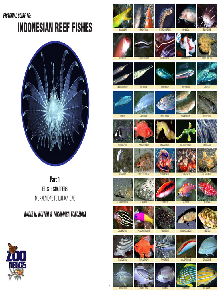 Michimiko: Indonesian Goby Guide | PDF | Coral Reef | Fish