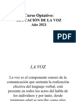 Optativo Educación de La Voz 2021