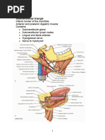 Anatomy