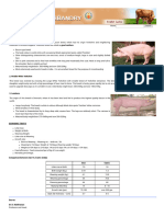 Live Stock - Pig - Breeds of Pig