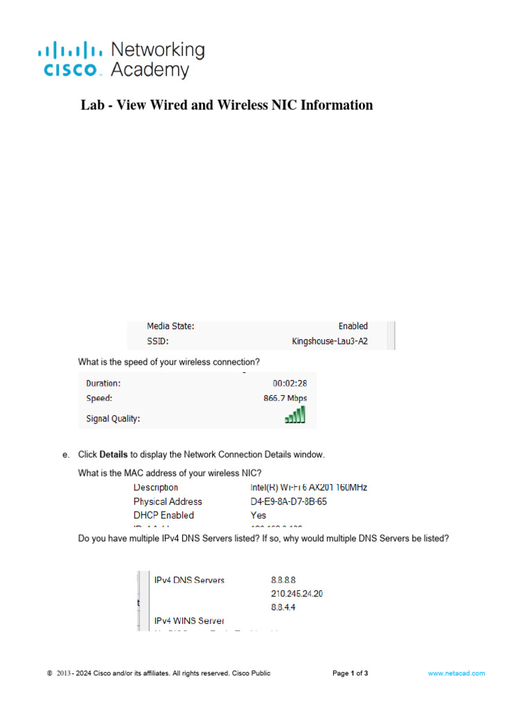 Managing PC NICs and Network Connections | PDF | Wi Fi | Domain Name System