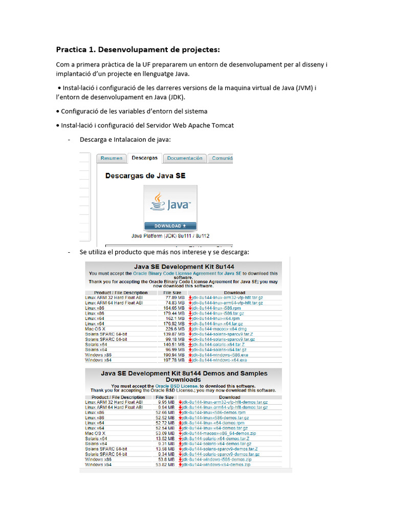 Configuración de Java y Apache Tomcat | PDF | Informática | Tecnología