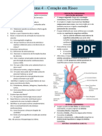 Problema 4 - Sistema Cardiovascular