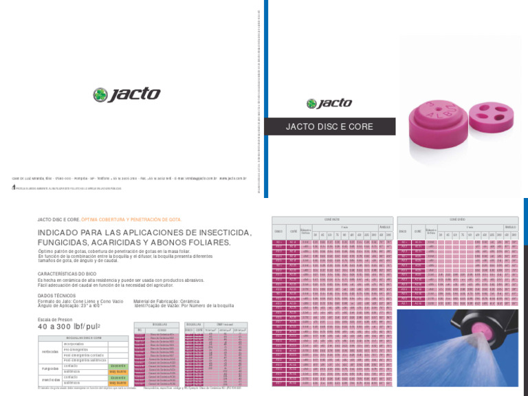 Disc e Core - Es PDF | PDF