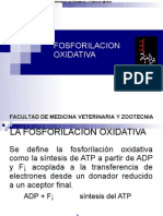 Fosforilacion Oxidativa