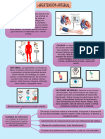 Infografías Sobre Las Diferentes Patologías Relacionadas Con El Sistema Cardiovascular